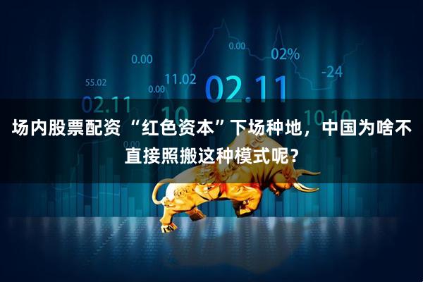 场内股票配资 “红色资本”下场种地，中国为啥不直接照搬这种模式呢？