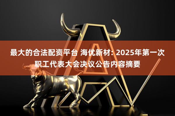 最大的合法配资平台 海优新材: 2025年第一次职工代表大会决议公告内容摘要