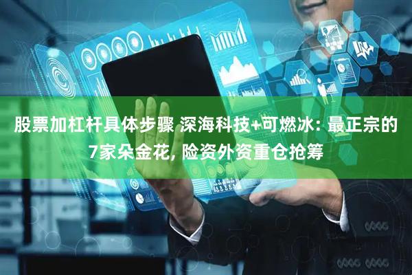 股票加杠杆具体步骤 深海科技+可燃冰: 最正宗的7家朵金花, 险资外资重仓抢筹
